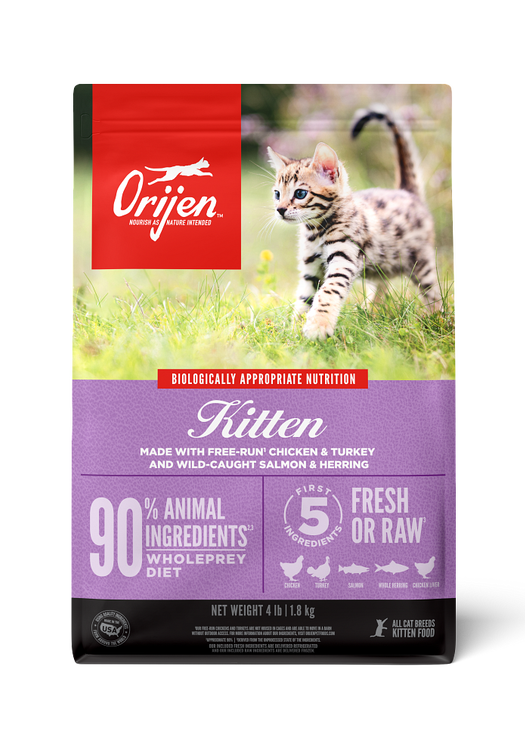 Kitten